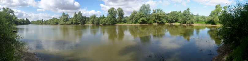 Altarm Rhein Altarm Rhein